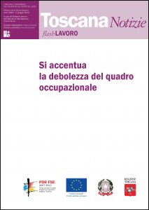 cover FlashLavoro 17_2013