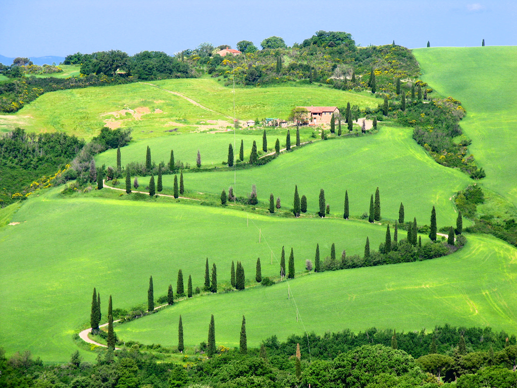 immagine evento